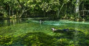 Foto: (Hudson Garcia/Divulgação)