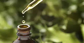 Foto: (Getty Images/iStockphoto)