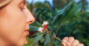 Foto: (dmosreg/DepositPhotos)