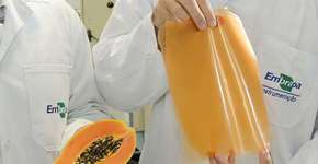 Foto: (Imagem sem texto alternativo disponivel ID [1830695])