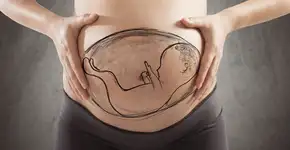 Foto: (Getty Images/iStockphoto)