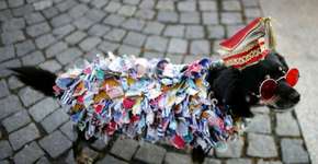 Foto: (Imagem sem texto alternativo disponivel ID [577688])