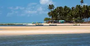 Foto: (Roman_Rahm/iStock)