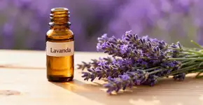 O óleo essencial que promete transformar o humor em 5 minutos