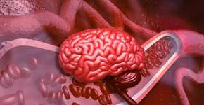 Foto: (iStock/Rasi Bhadramani)