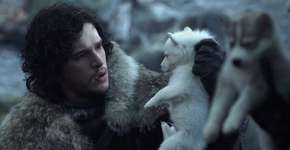 GoT: popularização de cães da raça husky siberiano preocupa ONGs