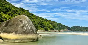 Foto: (Antonio Carlos de Freitas/ Portal Inea)