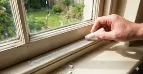 Foto: (Imagem gerada por IA/Gemini)