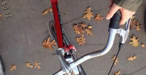 Foto: (Imagem sem texto alternativo disponivel ID [1842455])