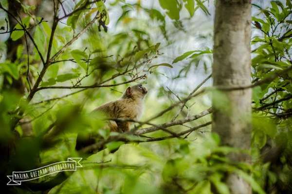 Marina Quezada Photography