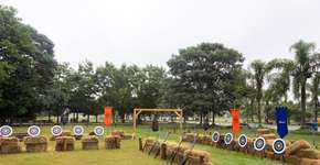 Foto: (Divulgação)