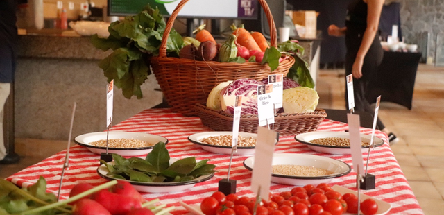 Experimenta! Comida, Saúde e Cultura