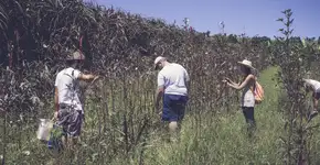 Expedição Farm to Table: Muito Além do Orgânico