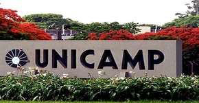 Unesp e Unicamp oferecem cursos online e gratuitos