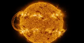 Foto: (Imagem sem texto alternativo disponivel ID [2723133])