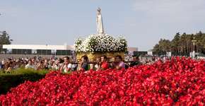 Foto: (Divulgão/Centro de Portugal)