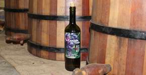 Caminho do Vinho é achado rural do Paraná