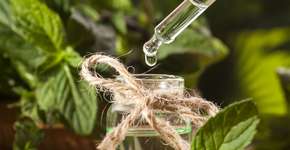 Foto: (NikiLitov/DeposiPhotos)