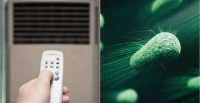 Foto: (koto_feja/istock)