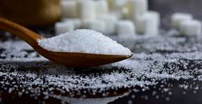 Foto: (iSTock/Aphirak Thila)