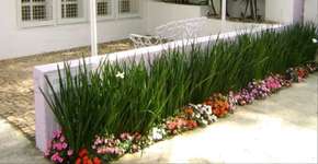 Foto: (Imagem sem texto alternativo disponivel ID [1896806])