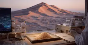 Cientistas resolvem mistério por trás das maiores areias desérticas da Terra