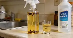 Foto: (Imagem sem texto alternativo disponivel ID [2699223])