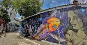 Foto: (Imagem sem texto alternativo disponivel ID [1568701])