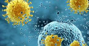 Foto: (image_jungle/istock)