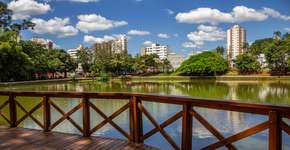 Foto: (Istock/AngelaMacario)