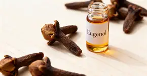 11 benefícios para a saúde de mastigar cravo-da-índia diariamente