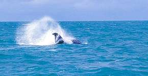 Foto: (Eduardo Andreassi)