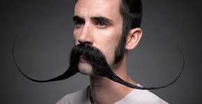 Foto: (Imagem sem texto alternativo disponivel ID [504893])