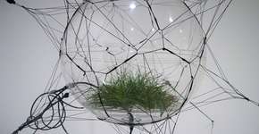 Foto: (Imagem sem texto alternativo disponivel ID [1853837])