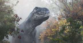 Foto: (Imagem sem texto alternativo disponivel ID [565963])