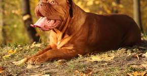 Foto: (Imagem sem texto alternativo disponivel ID [2607807])