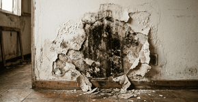 Foto: (Imagem sem texto alternativo disponivel ID [2767973])