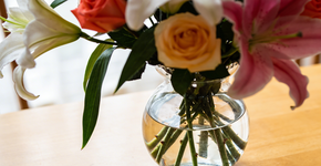 Foto: (Imagem sem texto alternativo disponivel ID [2733034])