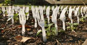 Foto: (Imagem sem texto alternativo disponivel ID [2688690])