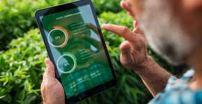 Foto: (andreswd/iStock)