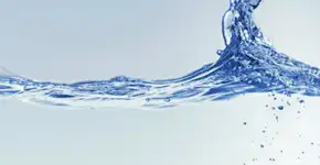 Foto: (Imagem sem texto alternativo disponivel ID [558453])