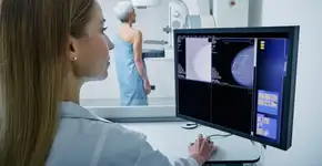 Foto: (Imagem sem texto alternativo disponivel ID [2608823])