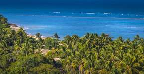 Foto: (iStock/agustavop)