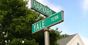 Foto: (vapal/iStock)