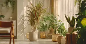 As plantas queridinhas de 2025 para deixar sua casa mais verde