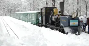 Foto: (Divulgação)