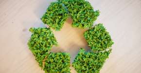 Plataforma on-line oferece curso gratuito de sustentabilidade