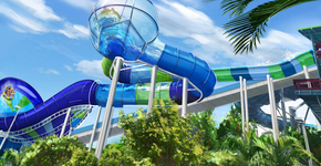 Foto: (Imagem sem texto alternativo disponivel ID [1537243])