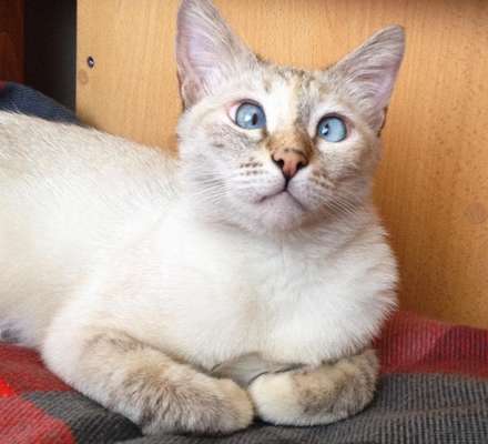 Reprodução / Instagram