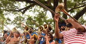 Espetacular Charanga do França faz ensaio aberto na zona norte